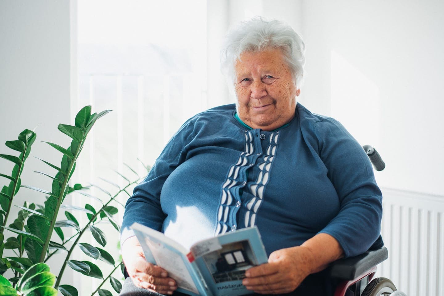 Silva Baša