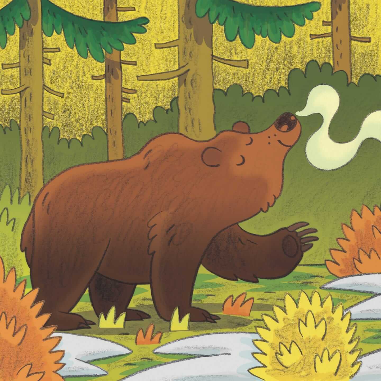 Medvedov rojstni dan